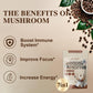 Mushroom Coffee with Coconut Creamer, 7 Mushroom and Ceylon Cinnamon Powder, Latte Mix | Lions Mane & Reishi for Immunity & Ene