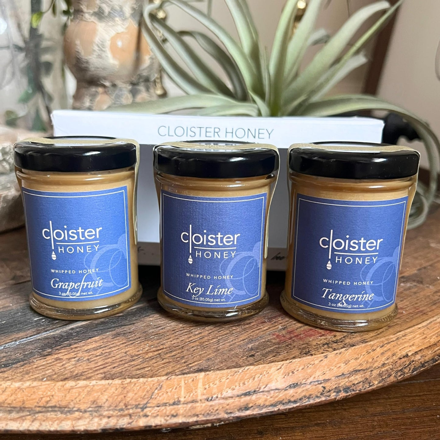 Cloister Honey Trios - Citrus (3 X 3 Oz) | Hand Crafted | Raw Artisan Honey | 100% Pure, Raw & Unfiltered | All Natural | Made I