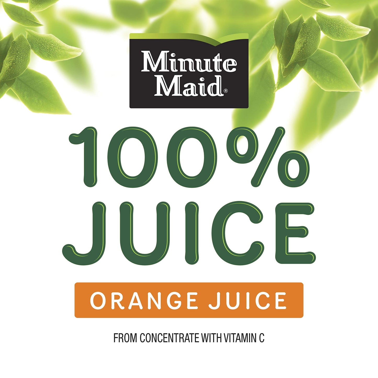 Minute Maid Orange Juice Drinks, 10 Fl Oz, 24 Pack, Model 025000056857