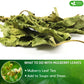 Freshdrinkus, Permium 16Oz Mulberry Leaves, 100% Natural & Pure From Mulberry Leaves, Loose Leaf Herbal Tea, No Additives, No Caffeine, Vegan