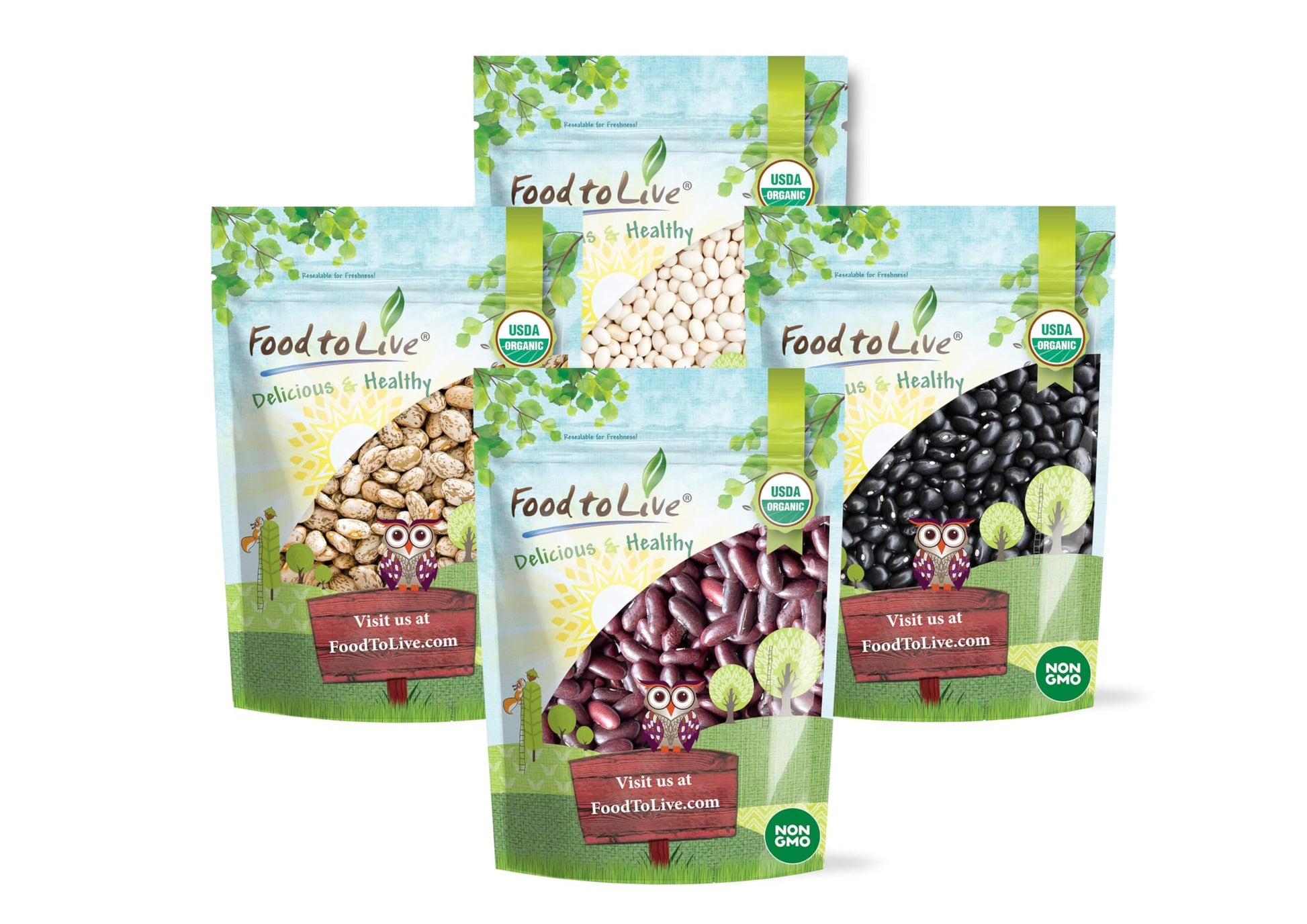 Food to Live Organic Dry Beans Bundle, 4 Pack - Black Beans (5 LB), Pinto Beans (5 LB), Navy Beans (5 LB), Dark Red Kidney Beans