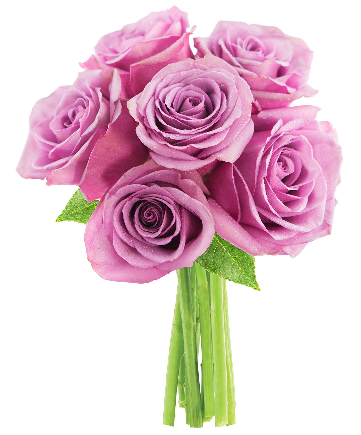 KaBloom Fresh Cut Purple Roses Bouquet - 6 Stems - Mother’s Day Collection - Model KaB-AZ-1098-NV