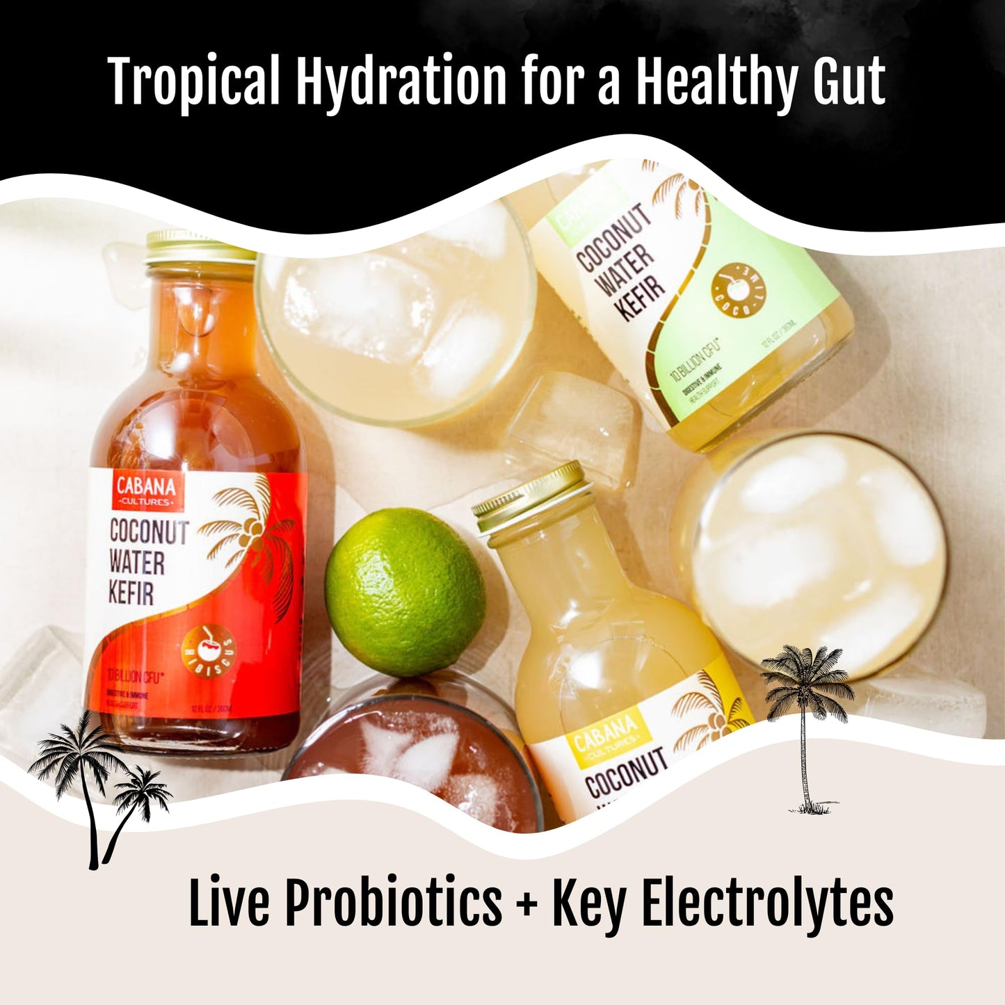 Cabana Cultures Probiotic Coconut Water Kefir, Vegan, Hydration & Electrolytes, 12 Fl Oz (Pack of 12)