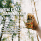 Grizzly dietary products Energy Drink Strawberry Kiwi - 10 Calories, Zero Sugar - 12 Pack (16 fl oz Cans)