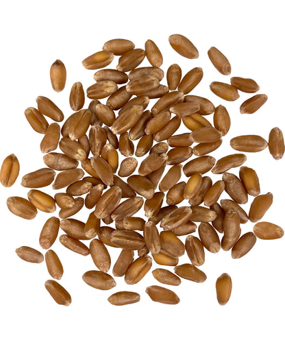 Palouse Brand Certified Glyphosate Residue Free Hard Red Winter Wheat Berries | 18 LBS | Family Farmed in Washington State | Non