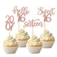 24Pcs Happy 16Th Birthday Cupcake Toppers Glitter Sweet 16 Twenty One Years Old Cupcake Picks Since 2007 Hello 16 Cake Decoratio