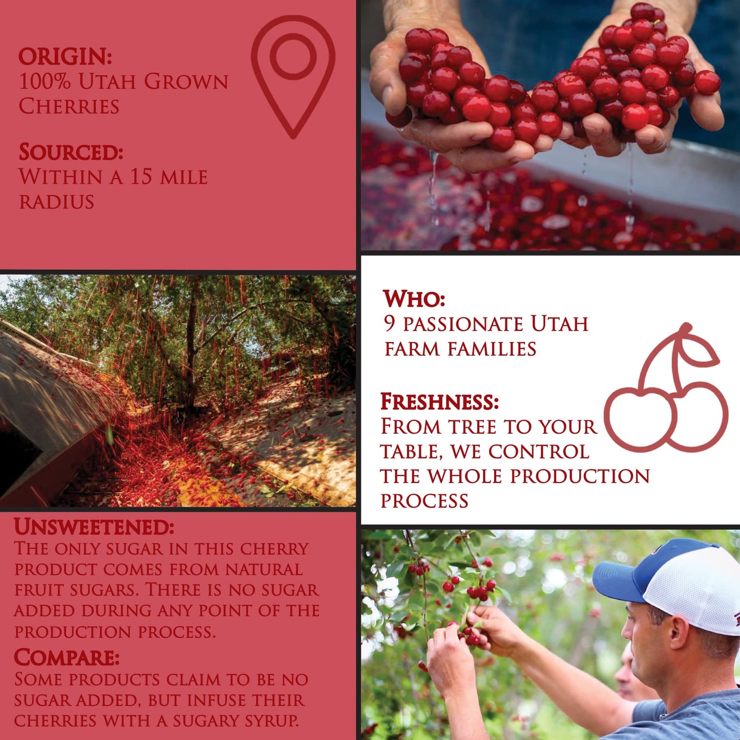 Country Spoon Montmorency Red Tart Cherry Juice Concentrate (32 oz.)