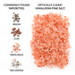 Saltworks Ancient Ocean Himalayan Pink Salt, Fine Grain, 5 Pound Bag
