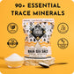 Salt Tribe | Baja Sea Salt | Mineral Rich | 90+ Trace Minerals | Fine Ground | Hydration Support | Sal Organica | Low Sodium | O