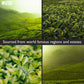 SOLSTICE TEA TRADERS Loose Leaf Tea Sampler Kit - Create Your Own Blend with Sencha, Rooibos, China Black, and Spices - 1 Count