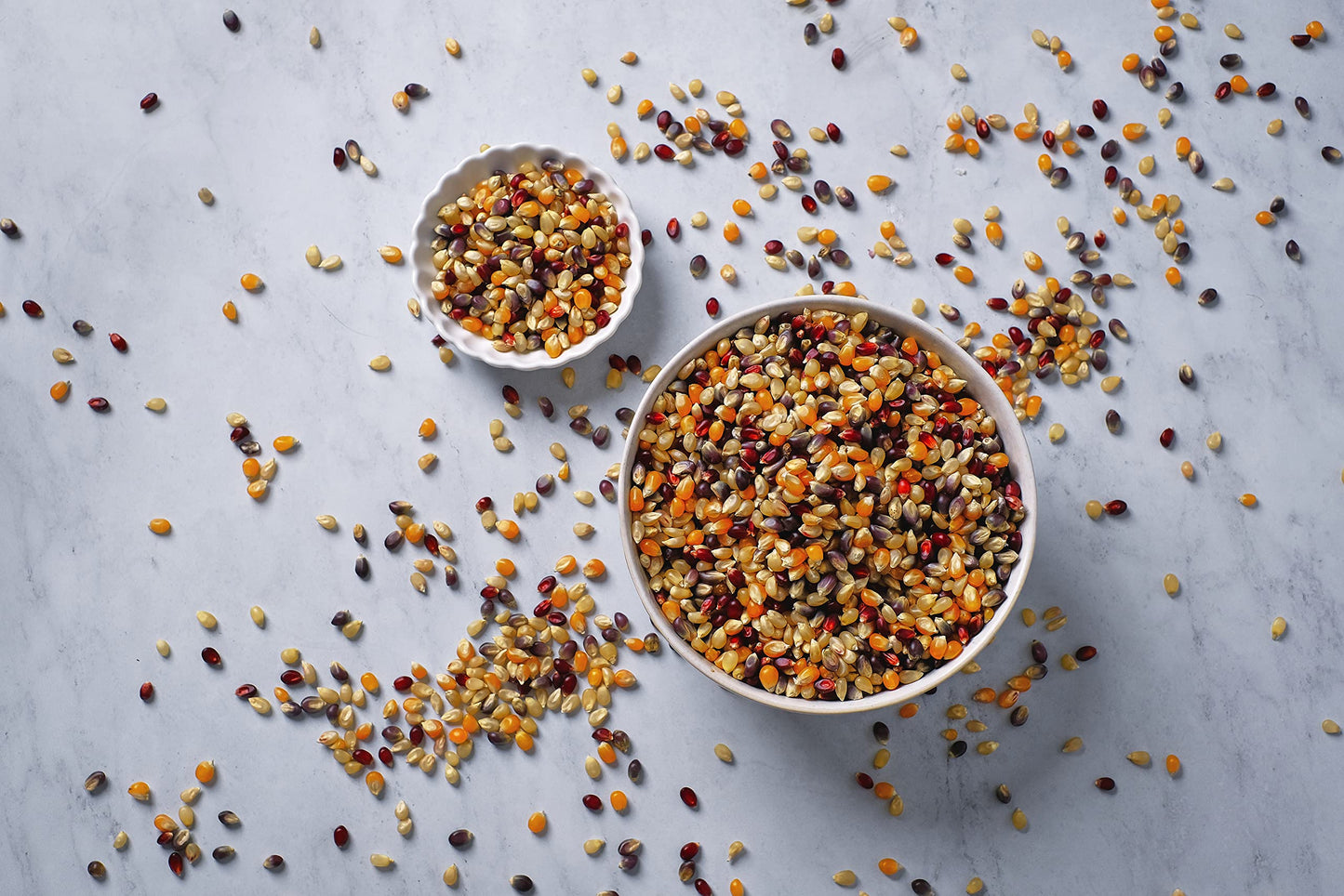 Amish Country Popcorn | 1 Lb Bag | Rainbow Popcorn Kernels | Old Fashioned, Non-Gmo And Gluten Free (Rainbow - 1 Lb Bag)