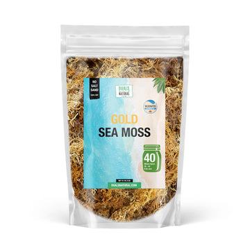 Dualspices Premium Jamaican Sea Moss - 16oz Raw Irish Moss - Makes 200+ oz of Gel