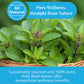 Akshit Holy Basil Tea, USDA Organic, Loose Leaf Tulsi Tea, 7.2oz (Pack of 3)