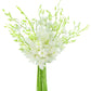 KaBloom Exotic Perla White Orchid Bouquet - 20 Fresh White Dendrobium Orchids, Gift for Birthday, Mothers Day, Valentines Day
