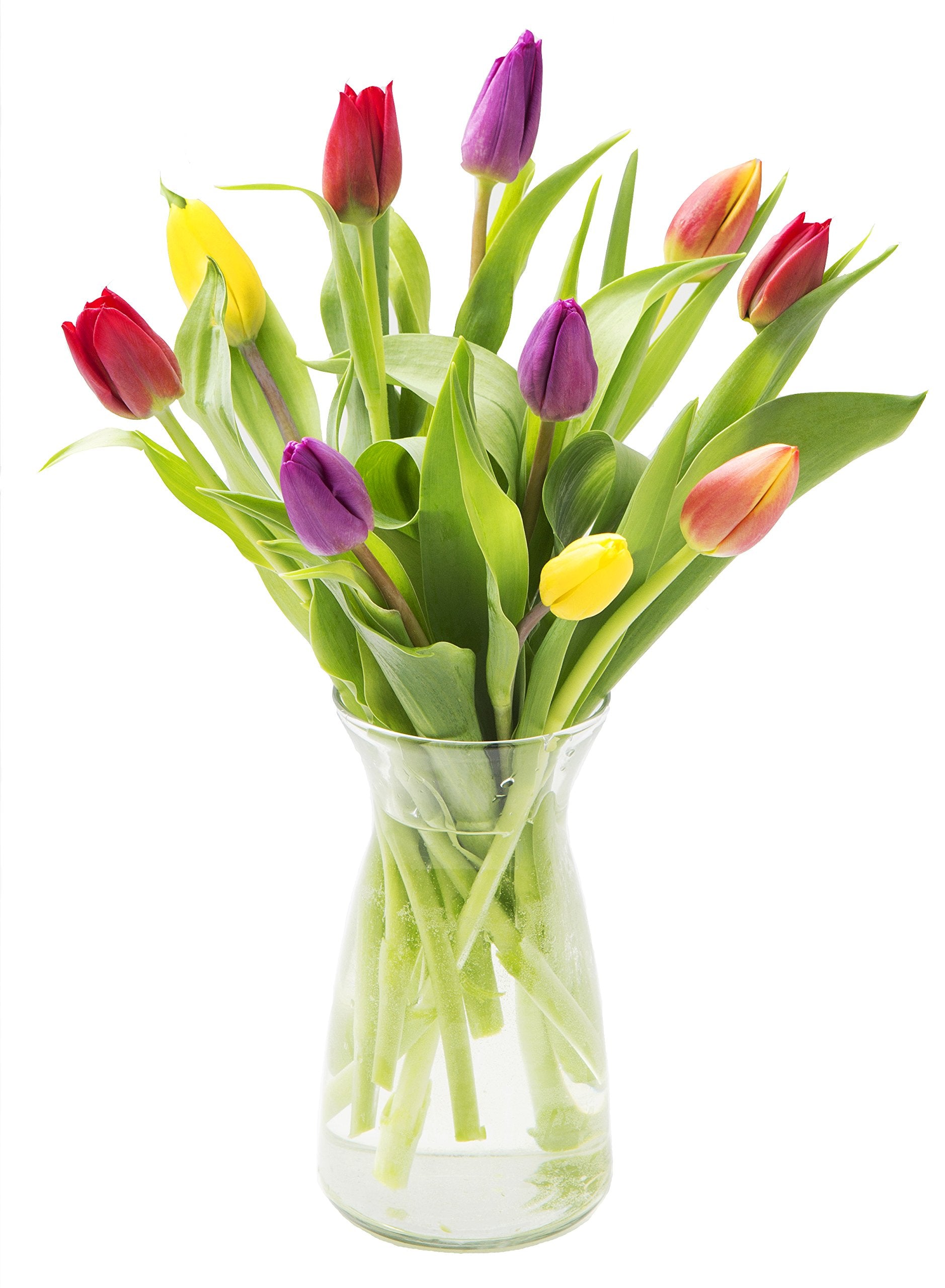 Kabloom Flowers - Valentine Collection - Assorted Tulip Bouquet From Holland (10 Stems) With Vase - Gift For Birthday  Anniversary  Thank You  Valentine  Mothers Day Fresh Flowers