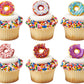 DecoPac Donut Cupcake Rings, Cake Toppers, 24 Pack, Multicolor, Food Safe Plastic Decorations