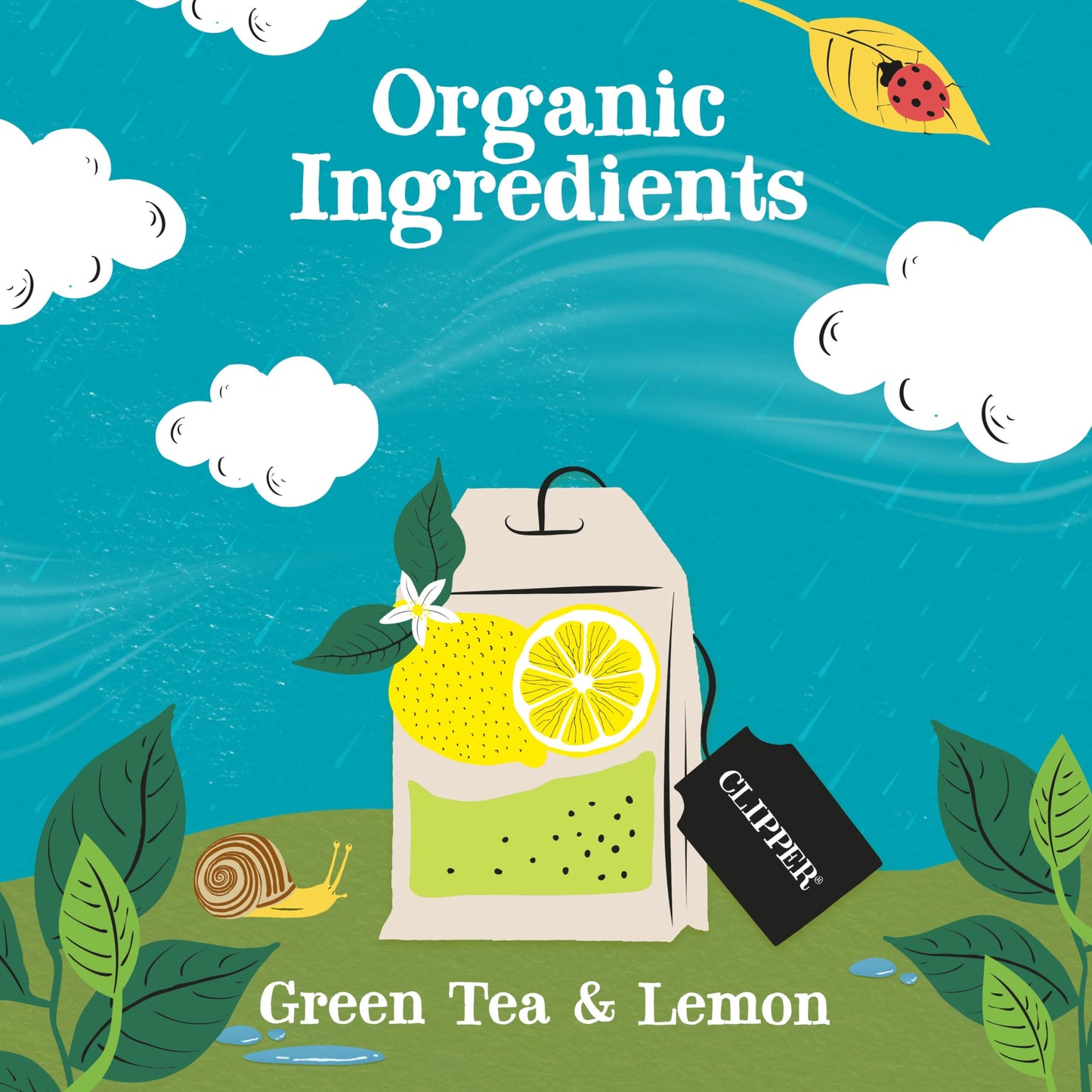 Clipper Tea Green Tea & Lemon Teabags, USDA Organic, 50 Count (Pack of 4)