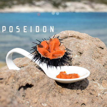 Poseidon Sea Urchin Pulp (Uni) - Wild-Caught From Sardinia, Italy - Gourmet Grade, Preservative-Free, Keto & Gluten-Free - 2.4 O