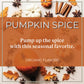 The Bean Organic Coffee Company Pumpkin Spice, Medium Roast, Ground Coffee, 16-Ounce Bag,Café Molido Tostado Organico