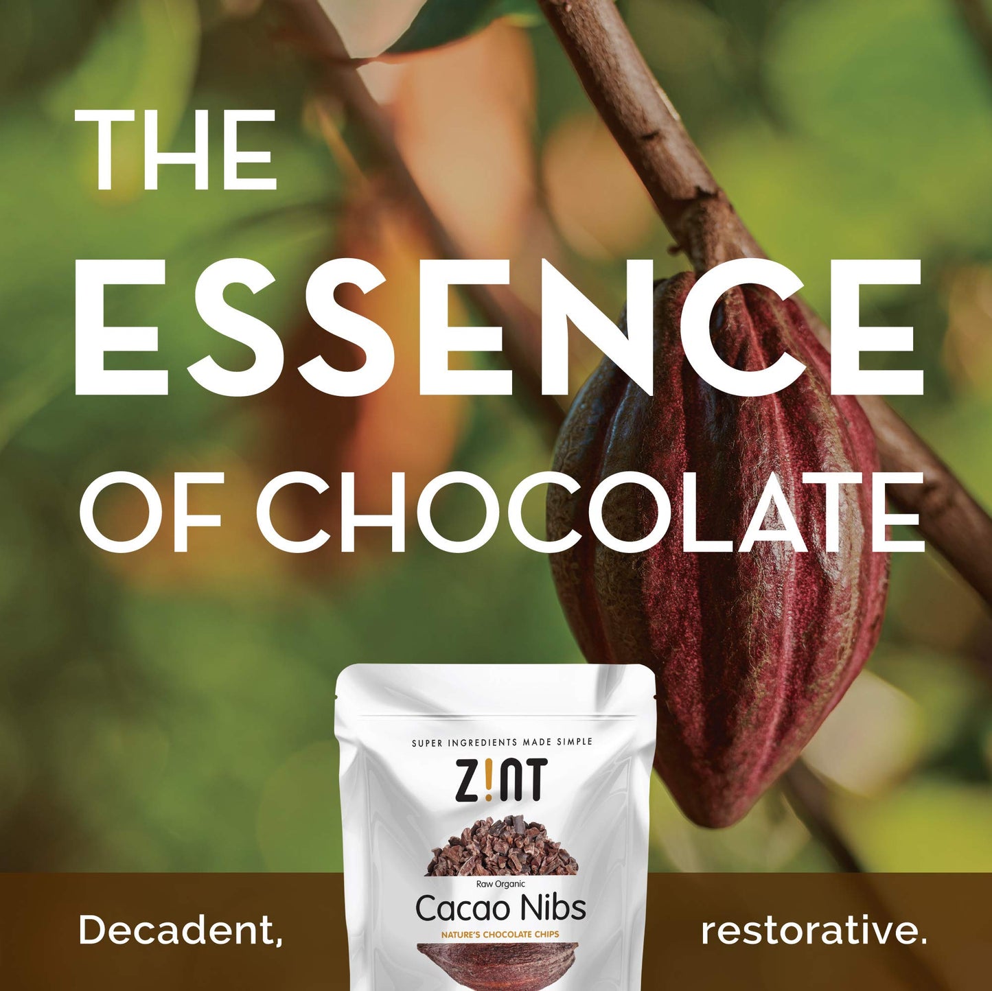 Zint Organic Cacao Nibs (32 Oz): Fair Trade, Paleo-Certified, Organic, Non Gmo, Anti Aging Antioxidant Superfood, Gluten Free Co
