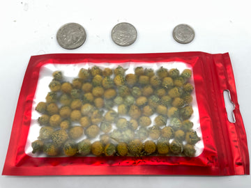 Buzz Buttons Aka Spilanthes, Holiday Themed, Naturally Cured, Small Size Edible Flower Gifts (1/4 Oz Love Nuts)