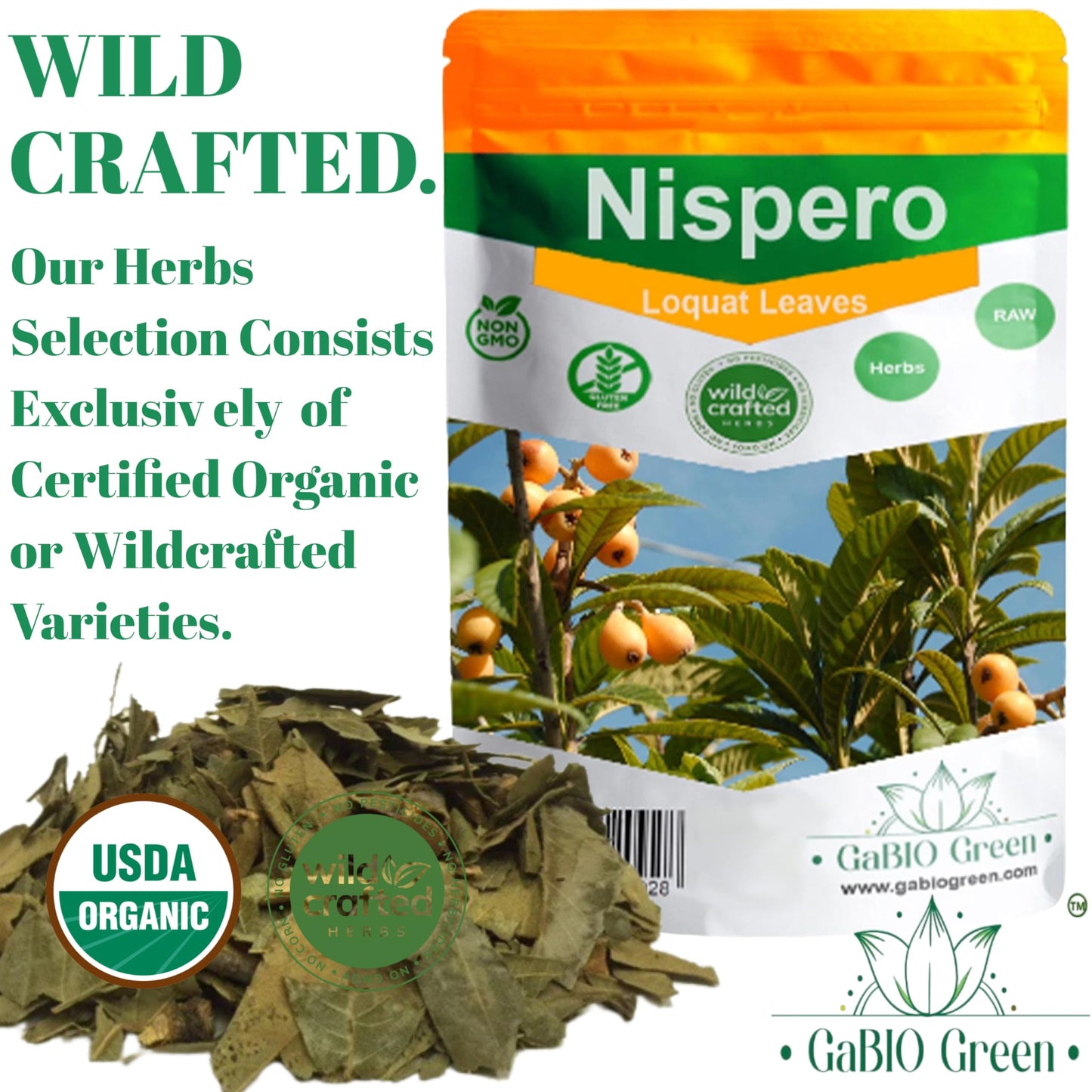 Gabio Green-Te Hojas De Nispero, 2 Oz (58Gr) Nispero Leaves, 100% Natural, Eriobotrya Japonica (Loquat Leaves Tea) Wildcrafted S