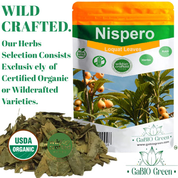 Gabio Green-Te Hojas De Nispero, 2 Oz (58Gr) Nispero Leaves, 100% Natural, Eriobotrya Japonica (Loquat Leaves Tea) Wildcrafted S