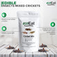Ecoeat Edible Insects Mixed Crickets 15G Bag - Edible Snack Gift