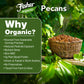 Fisher Organic Pecans Halves 16 oz  USDA Certified Organic  Unsalted Raw Pecans  North American Grown  Non-GMO  No Preservatives  Keto & Paleo Friendly  Heathy Snack for mature-themeds  Resealable Bag