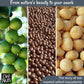 Oh! Nuts Dry Roasted Unsalted Macadamia Nuts, 1 lb - Oven Roasted, No Oil, Freshness-Sealed in New York Zip Bag