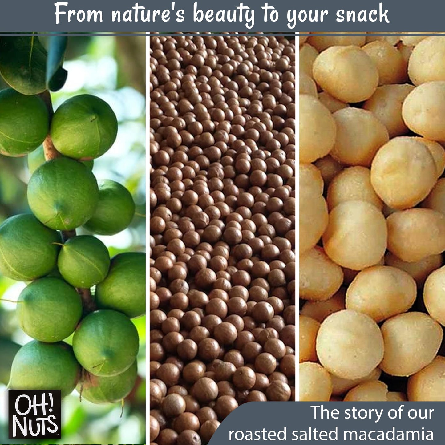 Oh! Nuts Dry Roasted Unsalted Macadamia Nuts, 1 lb - Oven Roasted, No Oil, Freshness-Sealed in New York Zip Bag