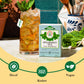 Tadin Spearmint Herbal Tea Bags, Caffeine Free, 24 Count (Pack of 6), Individually Wrapped, Great for Hot or Iced Tea