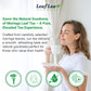 LeafLea Moringa Tea Bags - Premium Herbal Tea, Caffeine-Free, Non-GMO, Sugar-Free, 80 Bags (Pack of 2)