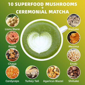 Mushroom Matcha, 10 Superfood Mushroom Powder Blend With Japanese Ceremonial Grade Matcha, Mushroom Coffee Alternative For Energ
