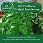 Akshit Organic Dried Moringa Leaves Tea, Caffeine Free, Non-GMO, Gluten Free, 5.2 oz (150 gm), Brews 56 Cups