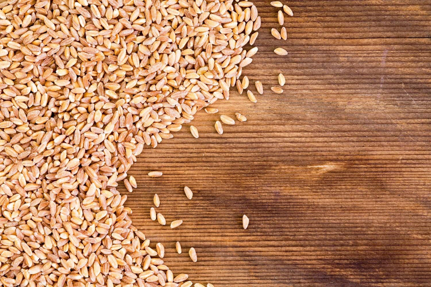 Food to Live Organic Italian Pearled Farro, 1 Pound - Non-GMO, Kosher, Vegan, Whole Farro Grain in Bulk. Good Source of Fiber an