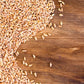 Food to Live Organic Italian Pearled Farro, 5 Pounds - Non-GMO, Kosher, Vegan, Whole Farro Grain in Bulk, Good Source of Fiber a