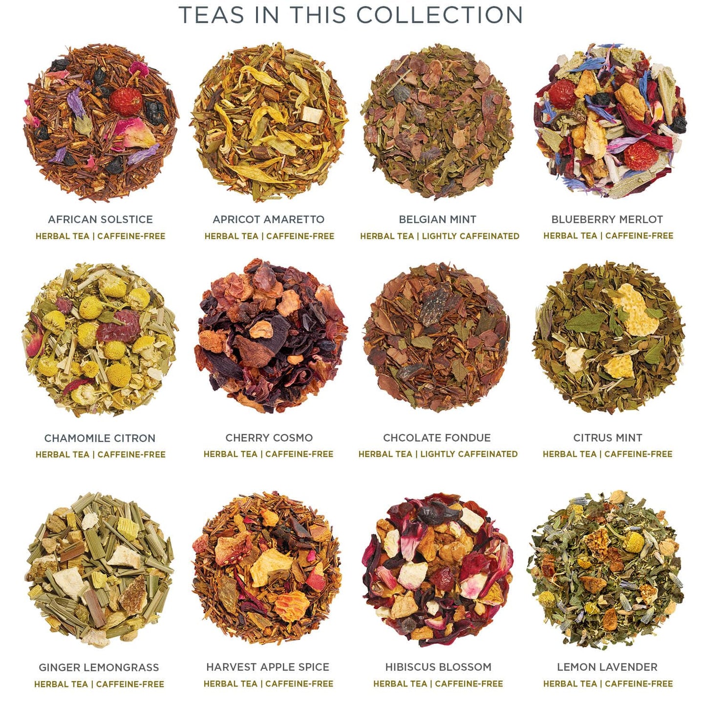 Tea Forte Herbal Tea Advent Calendar Gift Set; 24 Individually Wrapped Handcrafted Assorted Pyramid Infuser Tea Bags With Numbered Doors, Warming Joy (Herbal)