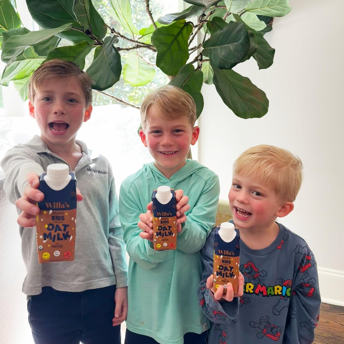 Willa s Organic Kid s Chocolate Oat Milk with 8g Protein & 240g Calcium  Plant-Based Milk for Kids  Dairy-Free  Low Sugar  2g Fiber- 8.25 oz  16 Pack