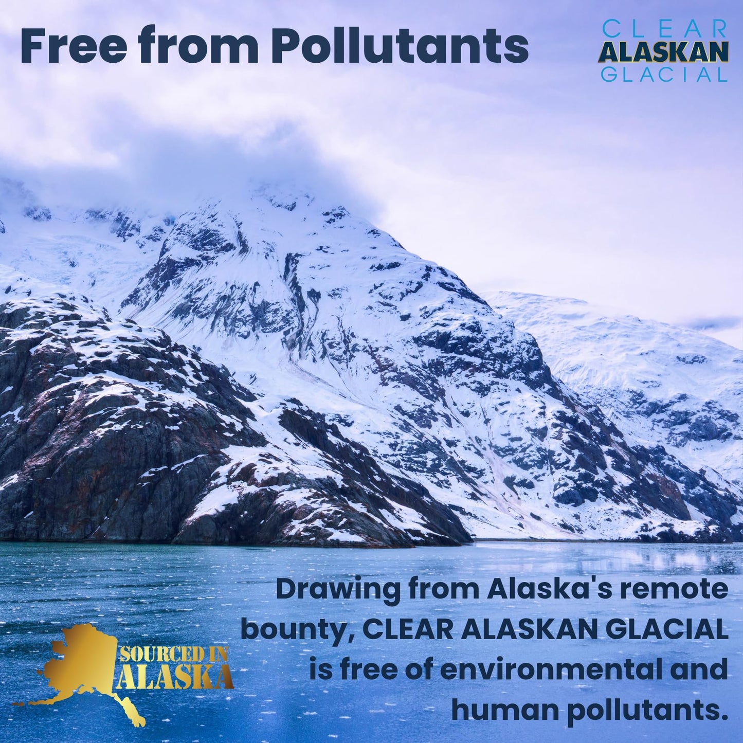 Clear Alaskan Fresh Glacier Water  Naturally Alkaline - Bottled in Aluminum with No Plastic | 16 Fl Oz (473 ml) - Pack of 12 | Natural glacial mineral water  bottled at the source in aluminum bottles