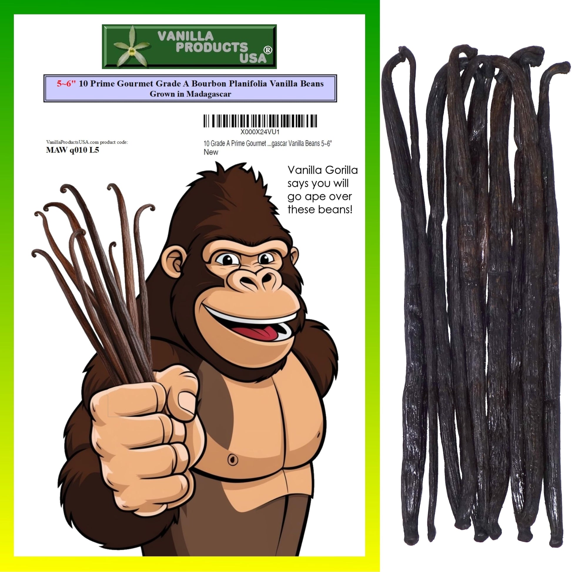 Vanilla Products USA Gourmet Madagascar Vanilla Beans, 10 Count, 5-6 inches
