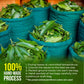 Freshdrinkus, Enhanced 100 Mango Leaf Tea Bags, 100% Natural & Pure From Mango Leaves. Loose Leaf Herbal Tea. No Sugar, No Caffeine, No Gluten, Vegan.