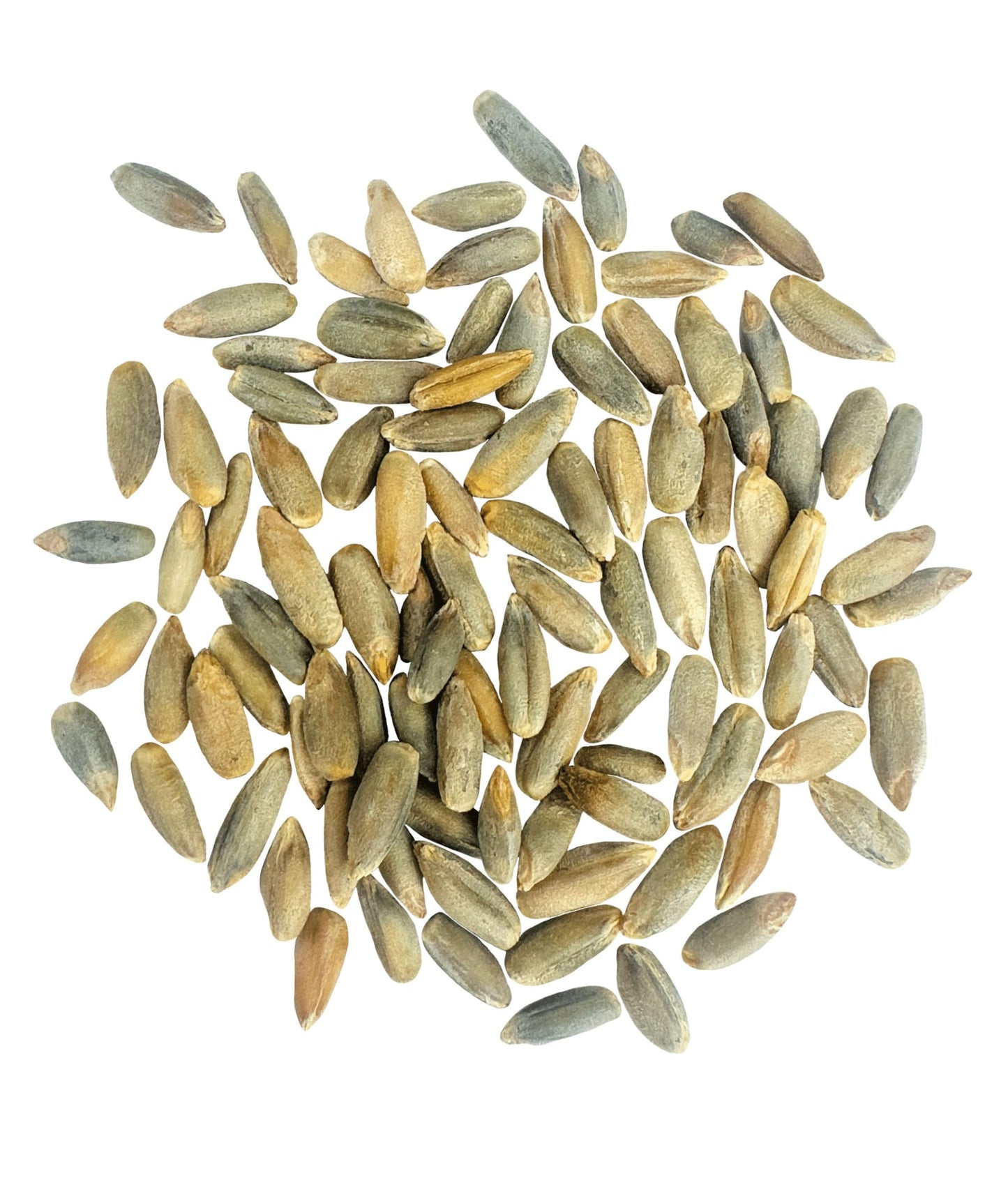 CLEAR CREEK Rye Berries, Glyphosate Residue Free, Non-GMO, 8 lbs (2-4 lb bags), Washington State Grown
