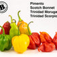 Bertie's Trinidad Pimento Sauce (10 Oz./300ml) | Adds Wonderful Flavour and Aroma Without The Heat to Dish | Perfect To Season M