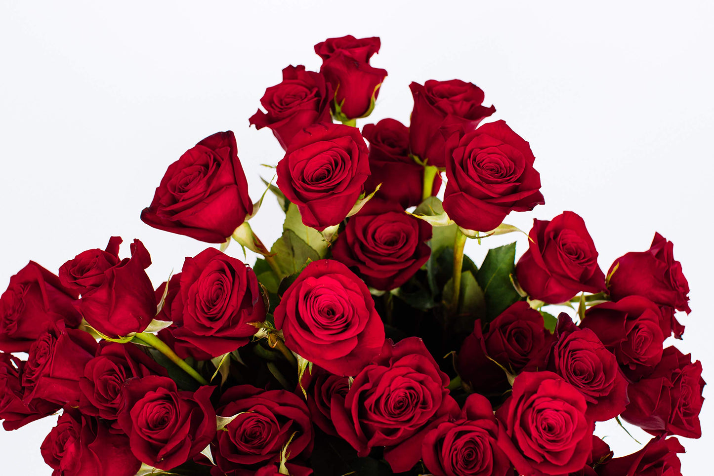 Benchmark Bouquets - 50 Stems of Red Roses (Vase Not Included) - Fresh Flowers for Delivery - Gift for Easter, Mothers Day, Birt