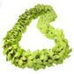 Fresh Cut Orchids Flower Leis, Fresh Orchids, Gorgeous Orchids: Long-lasting leis made of fresh cut orchids, for graduations, pa