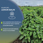 Worldwide Botanicals Organic Lemon Balm Tea, 1Lb - Loose Leaf Premium Herbal Tea | 100% Pure Lemon Balm Leaves | For Stress Reli