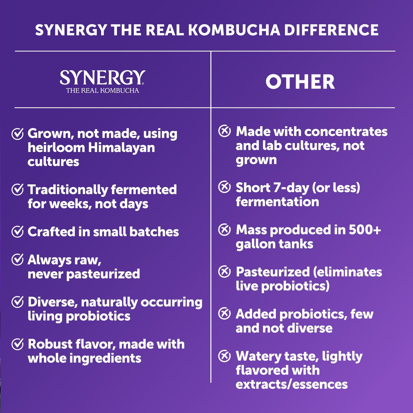 SYNERGY The Real Kombucha - Elderberry Juniper - 16 fl oz Bottle - Raw Probiotic Drink for Gut Health and Immune Support