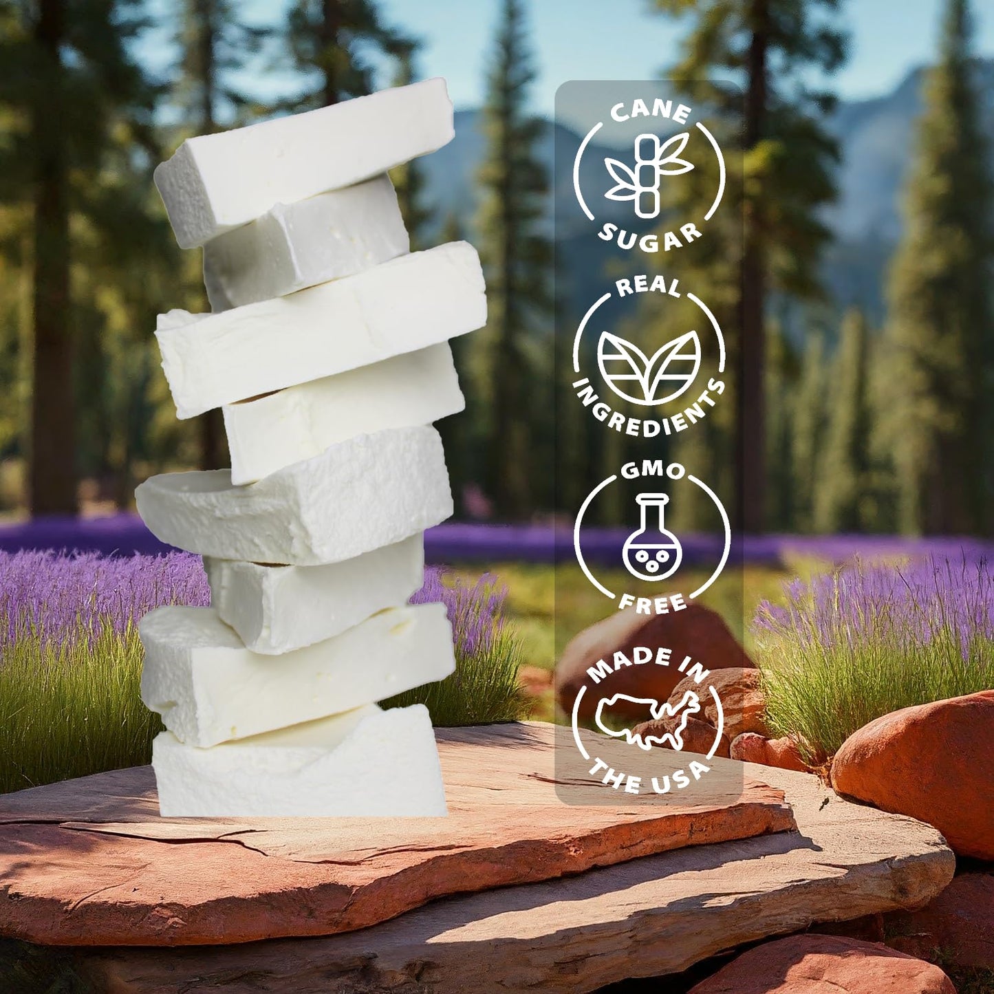 Rocky Mountain Freeze Dry Vanilla Ice Cream – Freeze Dried Snack, 1 OZ