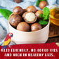 Curious Bird Macadamia Nuts - Dry Roasted With Sea Salt | Bite Sized Healthy Snack | 8Oz Resealable Bag (Pack Of 1)